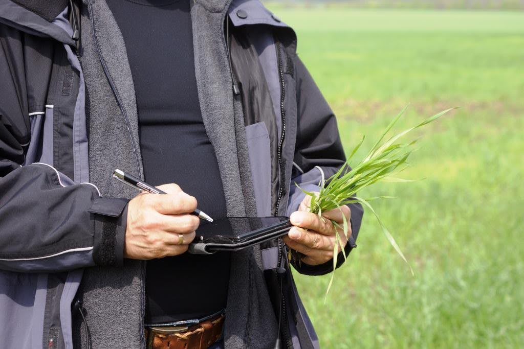 Agricultural Transformation in Kenya